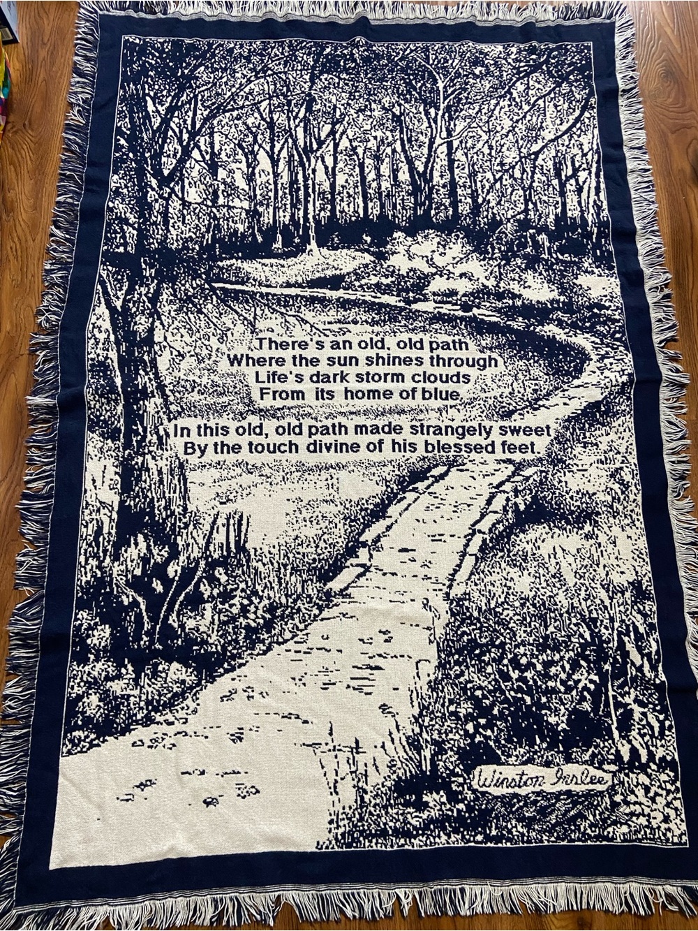 Scenic Woven Throw Blanket with Pathway Design - Blue & White 72x47 inches